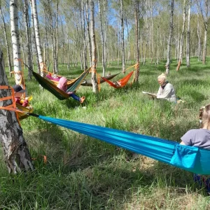 Bild zur Kräuterwanderung Herrentag